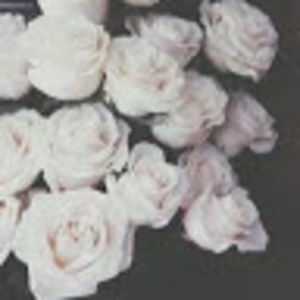 Meet your Posher, Angel